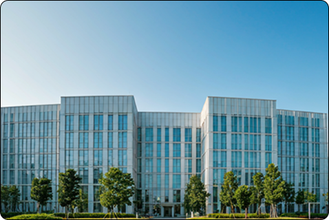 National Institute of Design